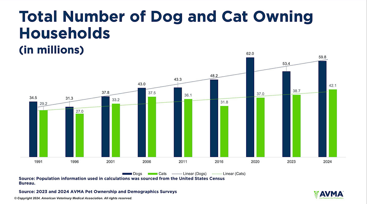 Pet-Friendly and Cat-Proof Couches