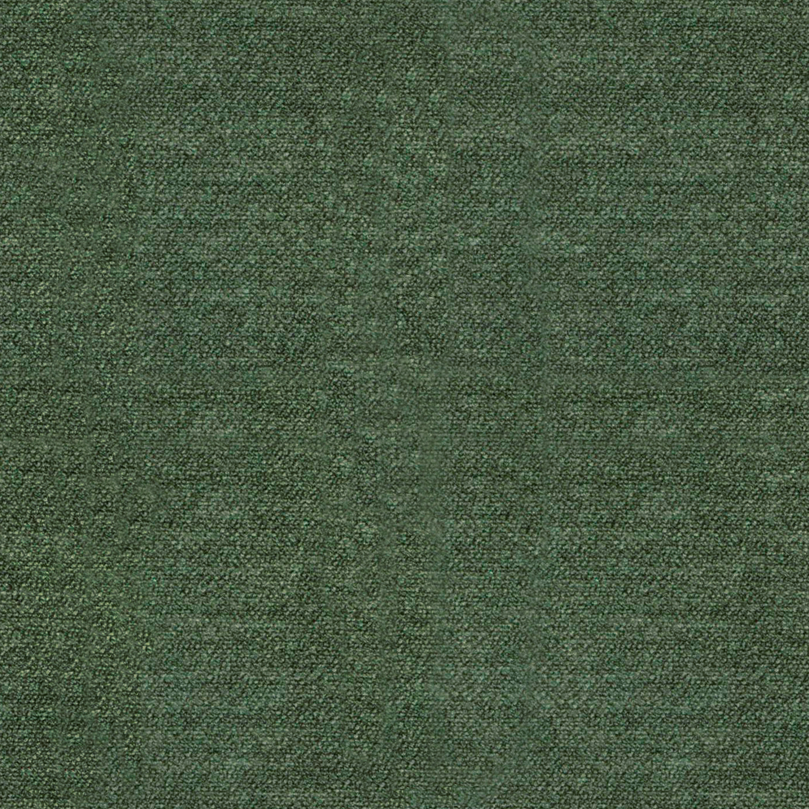 Canna-352