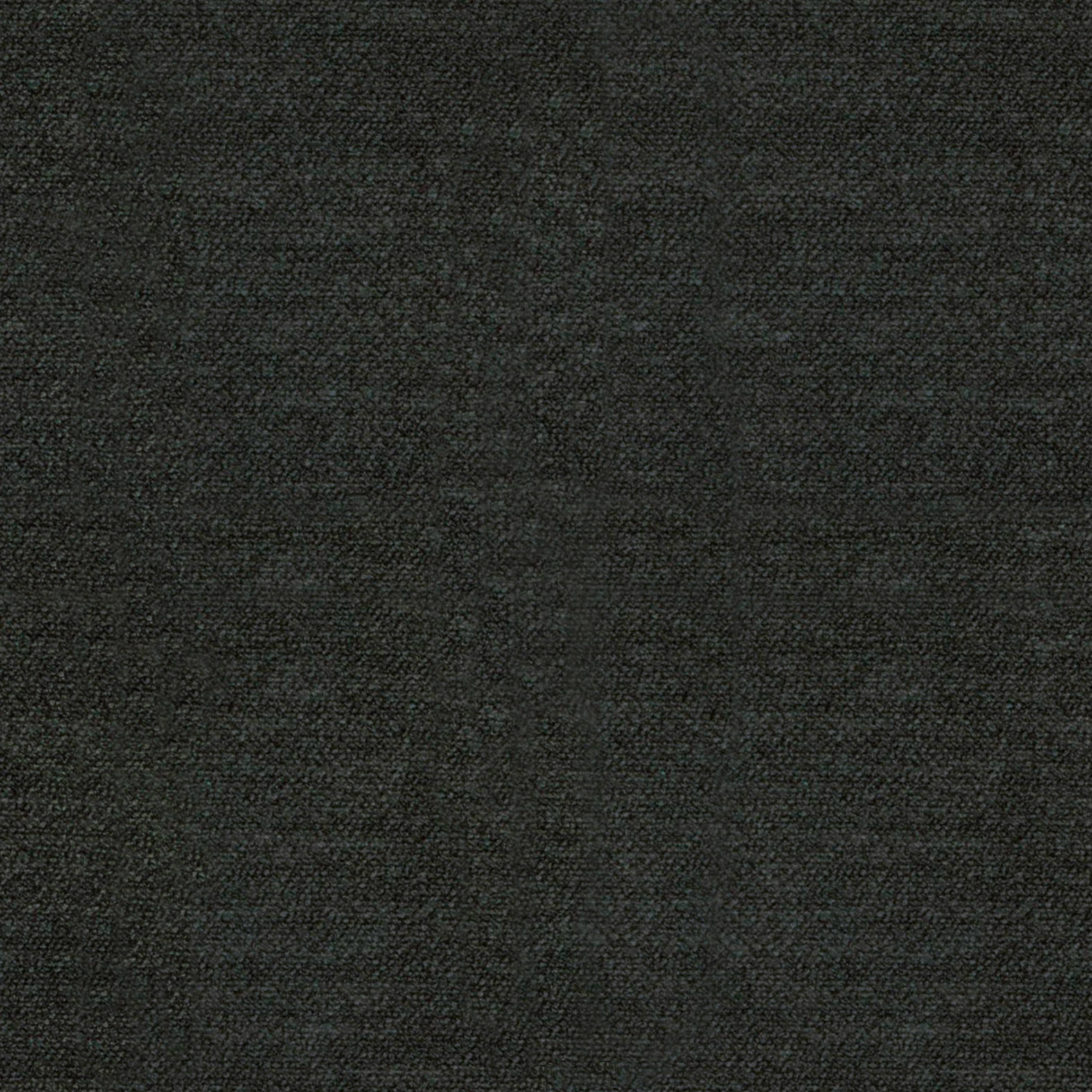 Canna-460