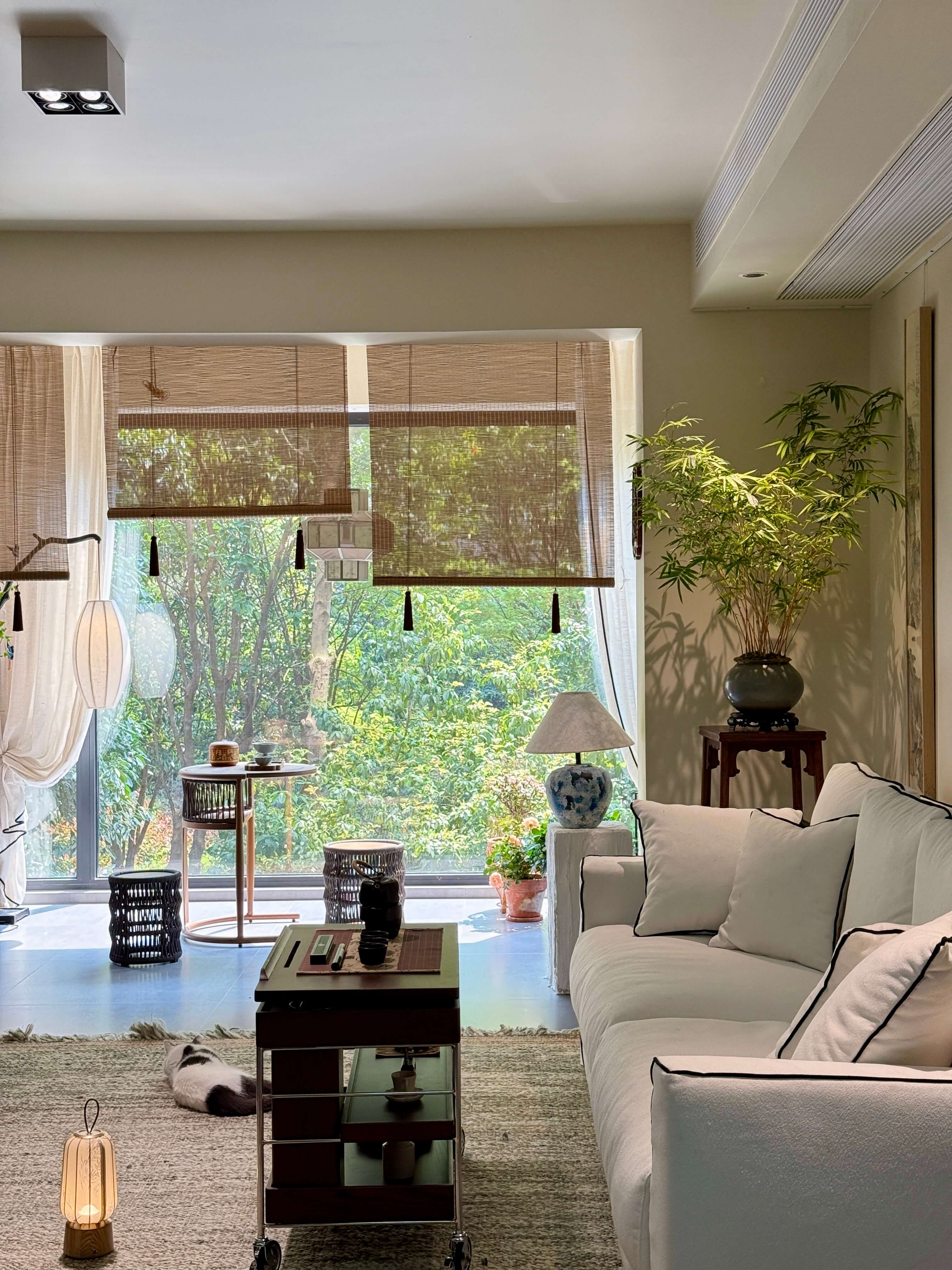Biophilic Interior Design Living Space
